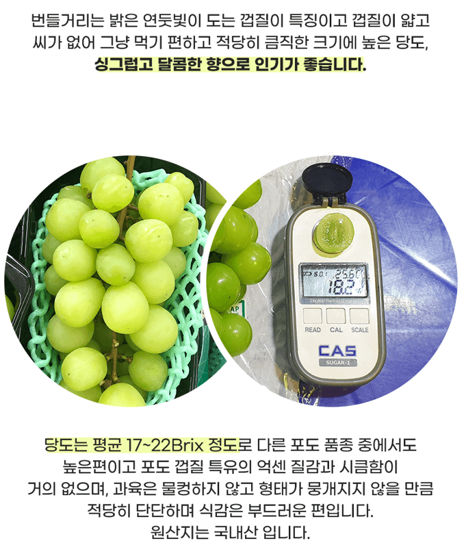 메종루엘님의 장터 판매 상품 [샤인머스켓 ] 첨부 사진