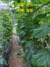 인생은 소풍처럼~님의 자유주제·자유게시판 작성글 사진