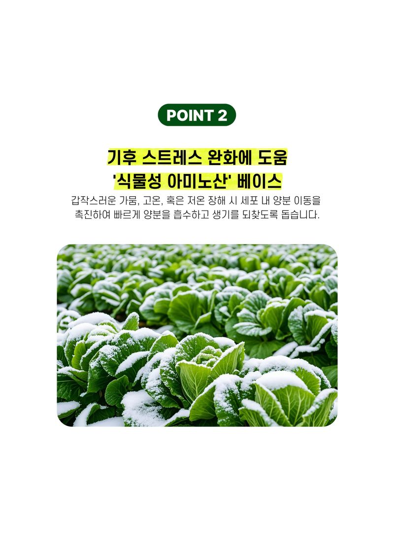 파머스케어님의 장터 판매 상품 [배추칼슘500ml 배추무밭500ml 김장 배추 무 밭 비료 마그네슘 미량요소 칼슘비료 세트 ] 첨부 사진