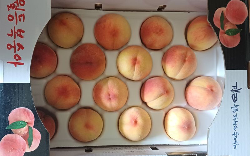 윤인숙님의 장터 판매 상품 [향기로운 황도, 아삭한 백도 4KG] 첨부 사진