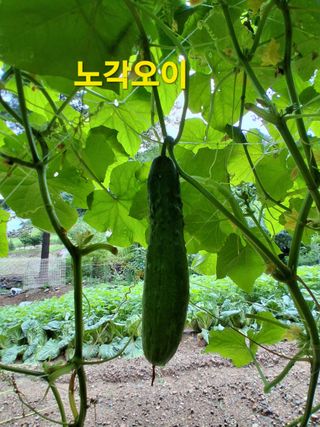 인생은 소풍처럼~님의 자유주제 · 자유게시판 작성글 사진