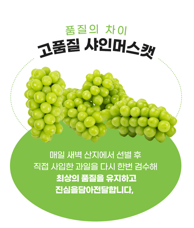 메종루엘님의 장터 판매 상품 [샤인머스켓 ] 첨부 사진
