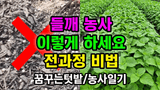 팜모닝 자유주제·자유게시판 게시글 이미지