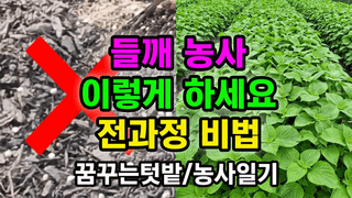 꿈꾸는텃밭님의 자유주제 · 자유게시판 작성글 사진