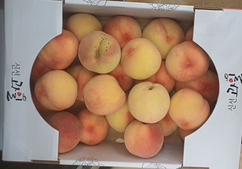 윤인숙님의 장터 판매 상품 [향기로운 황도, 아삭한 백도 4KG] 첨부 사진