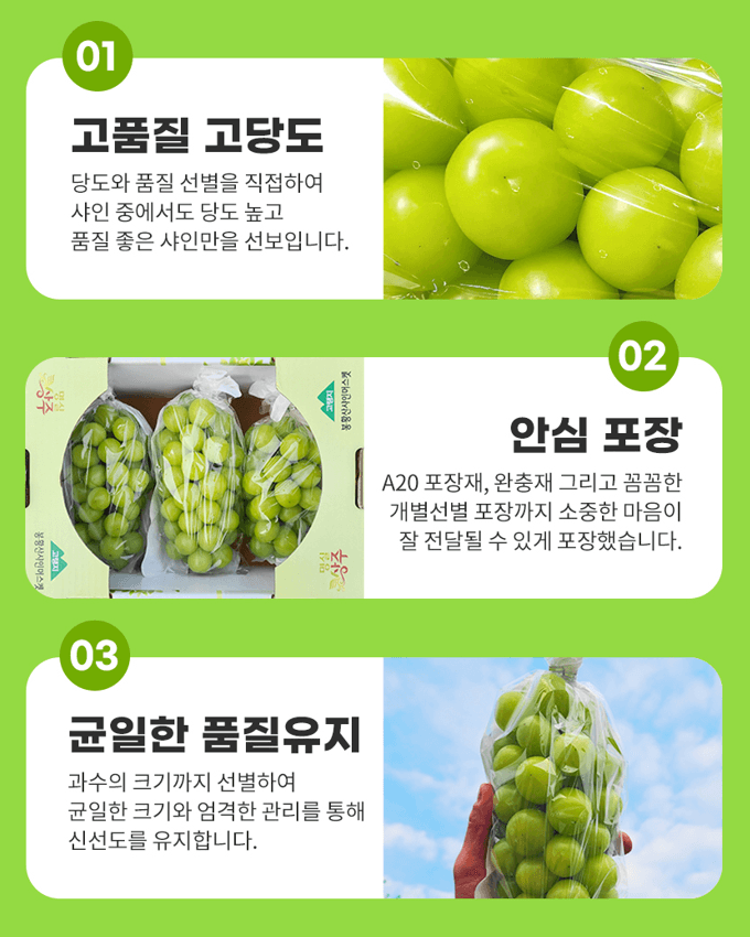 메종루엘님의 장터 판매 상품 [샤인머스켓 ] 첨부 사진