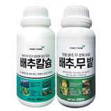 팜모닝 · 게시글 이미지