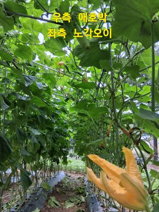 인생은 소풍처럼~님의 자유주제 · 자유게시판 작성글 사진