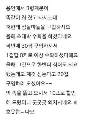 삼성농산님의 마늘 · 일상 작성글 사진