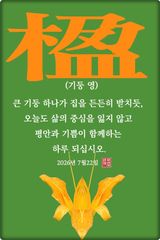 팜모닝 자유주제·자유게시판 게시글 이미지