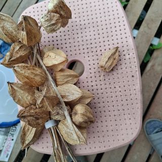오영도님의 자유주제 · 자유게시판 작성글 사진