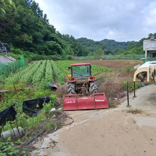 오영도님의 자유주제 · 자유게시판 작성글 사진