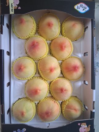 류남열님의 자유주제 · 자유게시판 작성글 사진