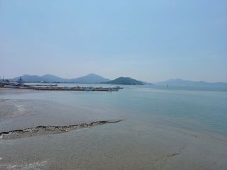 이정민님의 자유주제 · 자유게시판 작성글 사진