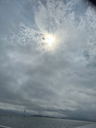 이정민님의 자유주제 · 자유게시판 작성글 사진