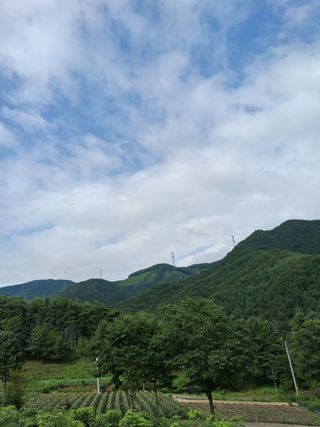 인생은 소풍처럼~님의 자유주제 · 자유게시판 작성글 사진
