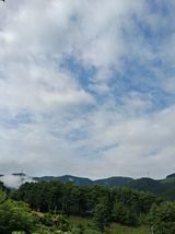 인생은 소풍처럼~님의 자유주제·자유게시판 작성글 사진