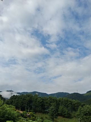 인생은 소풍처럼~님의 자유주제 · 자유게시판 작성글 사진