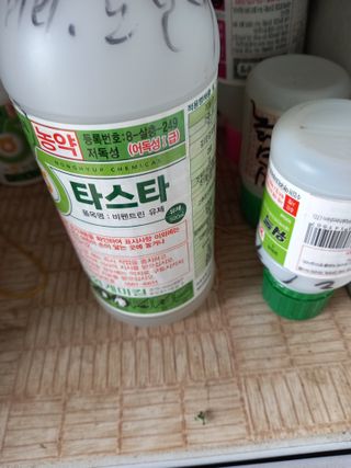 전진욱님의 자유주제 · 자유게시판 작성글 사진