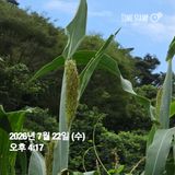 권춘화님의 자유주제·자유게시판 작성글 사진