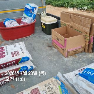 민들레님의 자유주제 · 자유게시판 작성글 사진