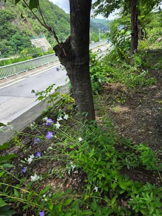 김용대님의 자유주제 · 자유게시판 작성글 사진