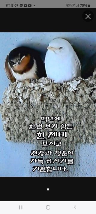 농촌이백억농원^^님의 작성글 사진
