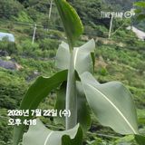 권춘화님의 자유주제·자유게시판 작성글 사진