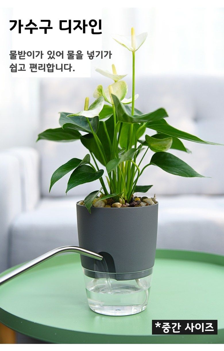 오훈조님의 장터 판매 상품 [수경재배화분 자동 물공급 플라스틱 화분] 첨부 사진