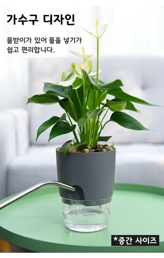 오훈조님의 작성글 사진