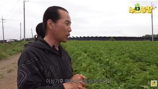 누보농장님의 자유주제 · 자유게시판 작성글 사진
