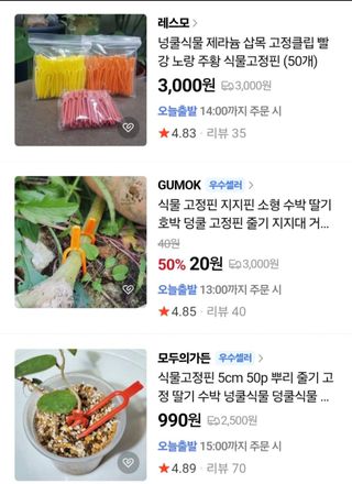 김중언님의 작성글 사진