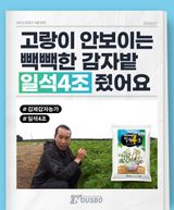 팜모닝 자유주제·자유게시판 게시글 이미지