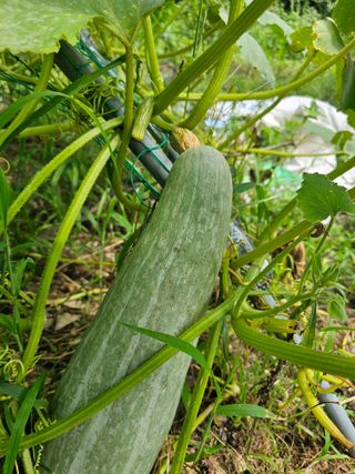 farmer님의 자유주제 · 자유게시판 작성글 사진