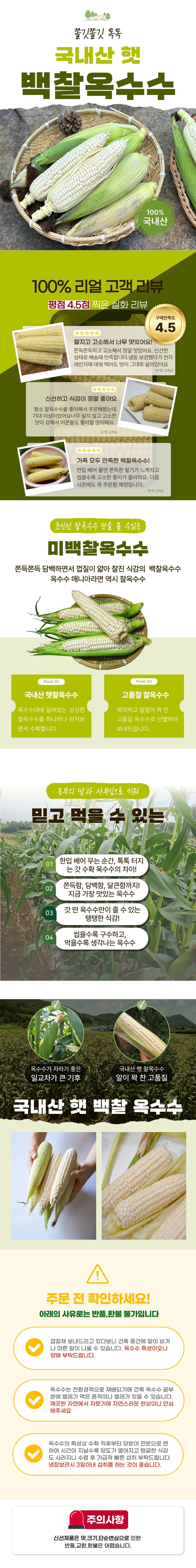 팜포켓님의 장터 판매 상품 [국내산 찰 옥수수 쫀득한 쫀득 옥수수 미백 옥수수 15개 20개] 첨부 사진
