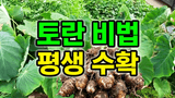 팜모닝 자유주제·자유게시판 게시글 이미지