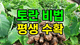 홈 갤러리 이미지