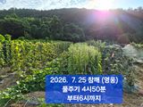 박성민님의 자유주제·자유게시판 작성글 사진