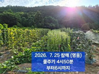 박성민님의 자유주제 · 자유게시판 작성글 사진