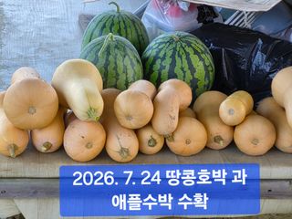 박성민님의 자유주제 · 자유게시판 작성글 사진