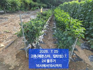 박성민님의 자유주제 · 자유게시판 작성글 사진
