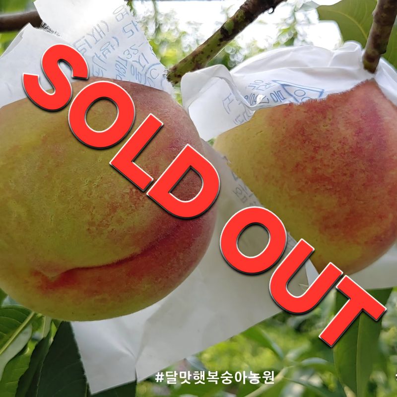 장터 상품 [딱따기복숭아 4kg (GAP인증 우수농산물)] 썸네일