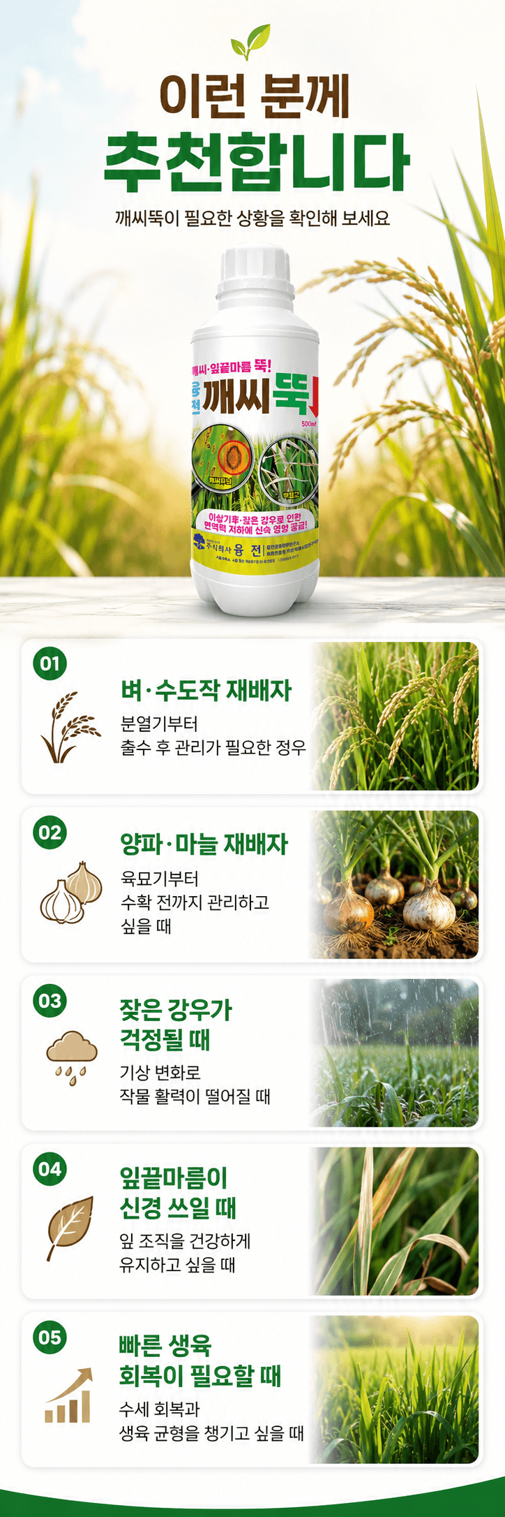 농업마켓365님의 장터 판매 상품 [융전 깨씨뚝 500ml 벼 깨씨무늬 잎끝마름 이상기후 작물활력 식물영양제 비료] 첨부 사진