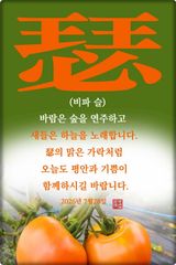 팜모닝 자유주제·자유게시판 게시글 이미지