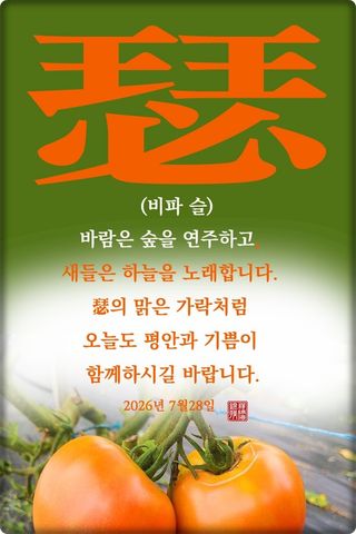정진해님의 자유주제·자유게시판 작성글 사진