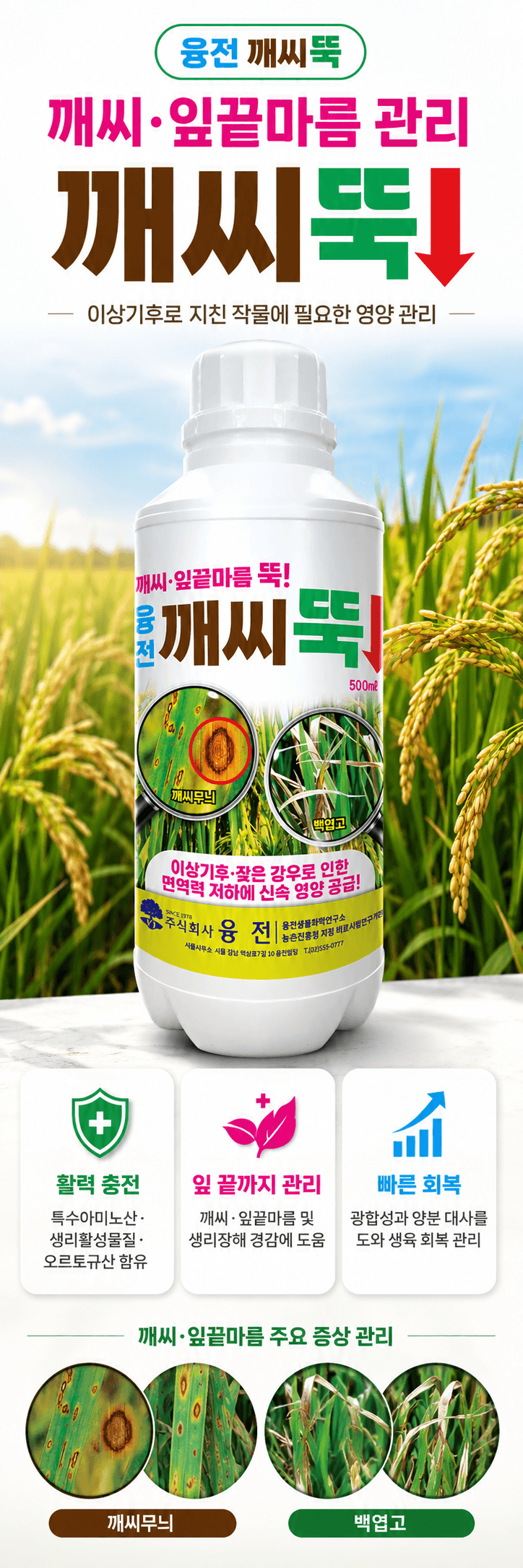 농업마켓365님의 장터 판매 상품 [융전 깨씨뚝 500ml 벼 깨씨무늬 잎끝마름 이상기후 작물활력 식물영양제 비료] 첨부 사진