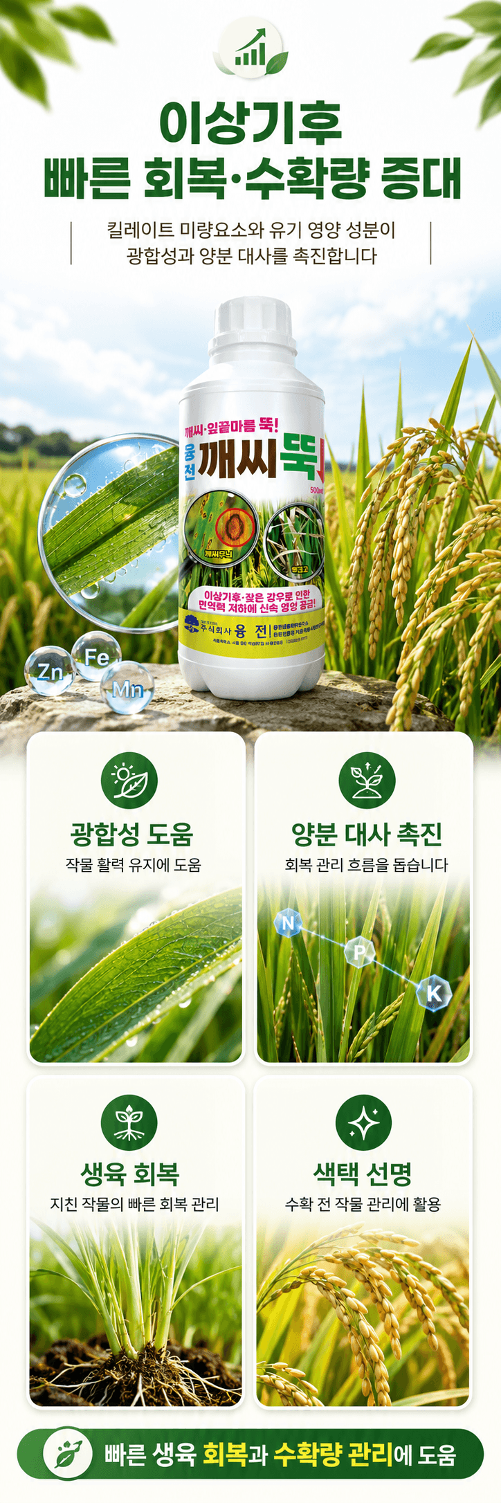 농업마켓365님의 장터 판매 상품 [융전 깨씨뚝 500ml 벼 깨씨무늬 잎끝마름 이상기후 작물활력 식물영양제 비료] 첨부 사진