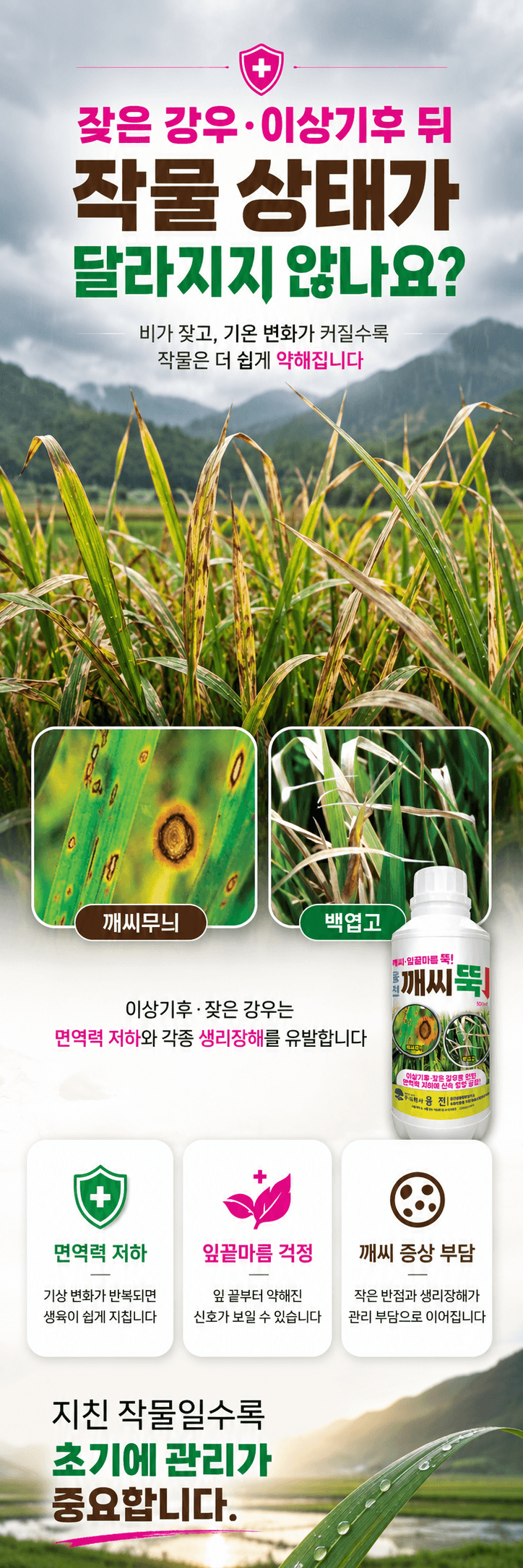 농업마켓365님의 장터 판매 상품 [융전 깨씨뚝 500ml 벼 깨씨무늬 잎끝마름 이상기후 작물활력 식물영양제 비료] 첨부 사진