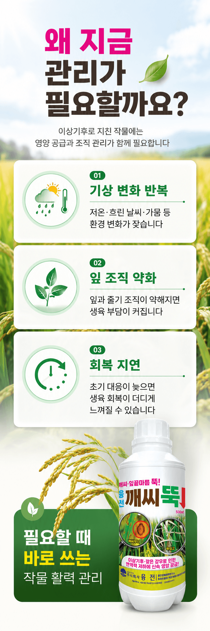 농업마켓365님의 장터 판매 상품 [융전 깨씨뚝 500ml 벼 깨씨무늬 잎끝마름 이상기후 작물활력 식물영양제 비료] 첨부 사진