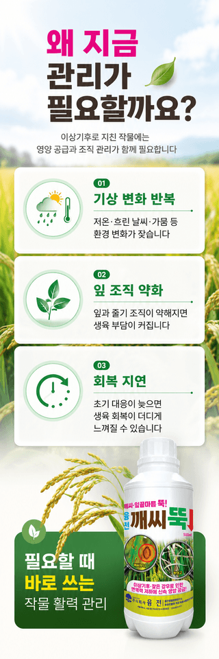농업마켓365님의 작성글 사진